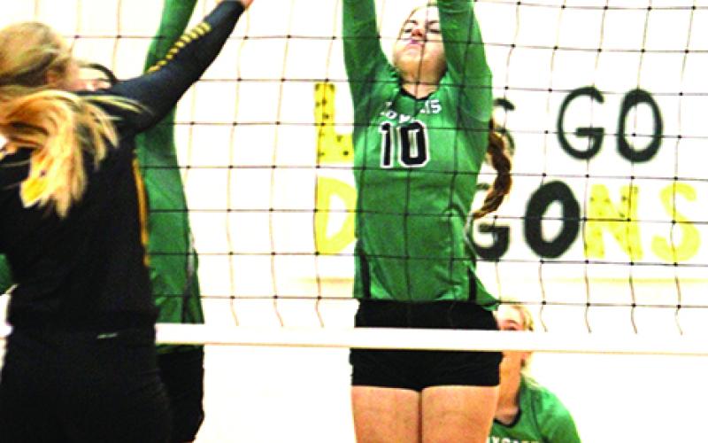 K.C. Shields get a block during the Ladycats final set against the Dragons